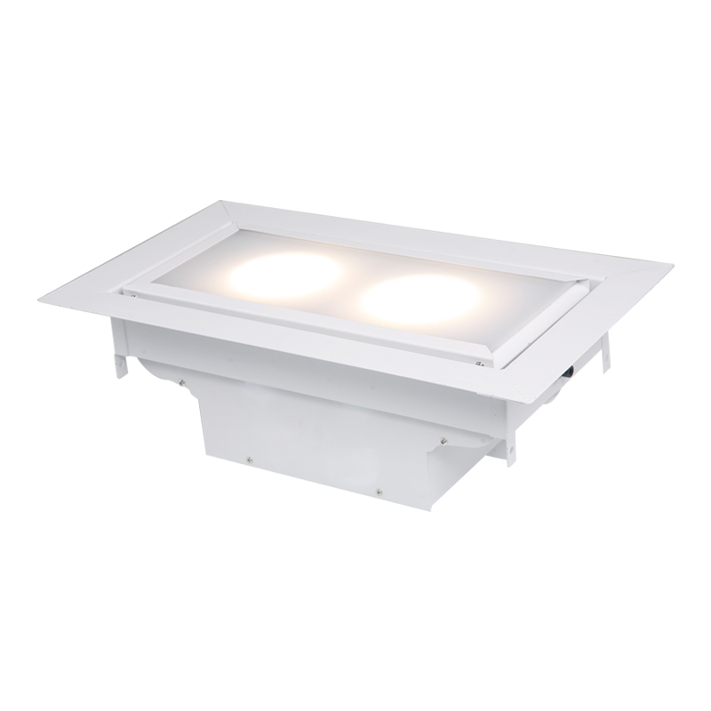 Built-in LED two head meeting light Built-in LED two head meeting light