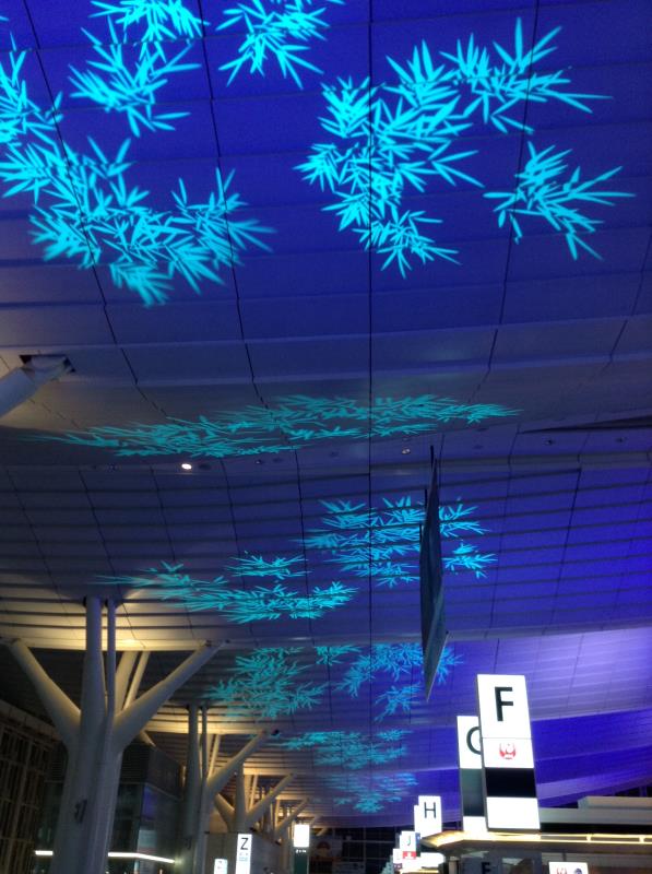 2017 Tokyo International Airport (Christmas Lighting)